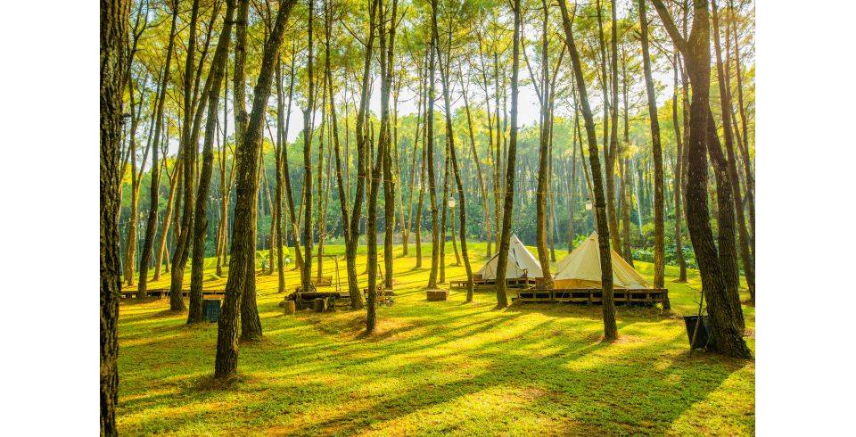 Green Pine Resort – Sân Golf Tràng An