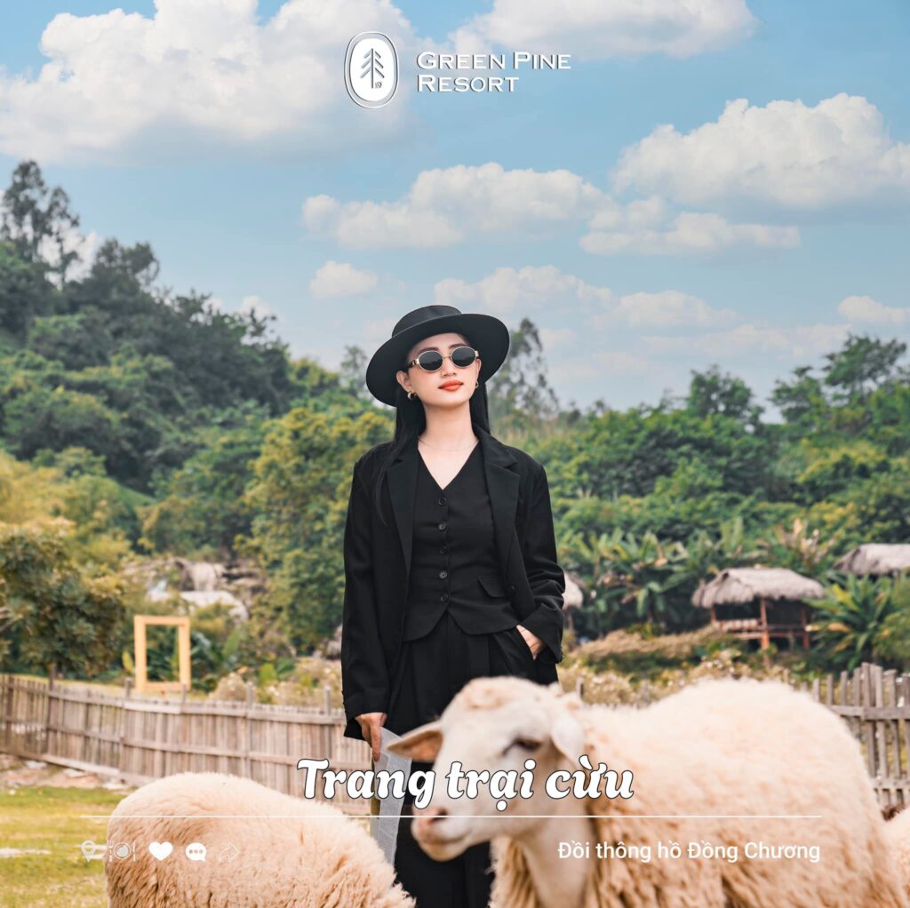 Có một Đà Lạt thu nhỏ ở Ninh Bình