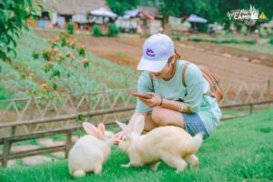 Có một Đà Lạt thu nhỏ ở Ninh Bình